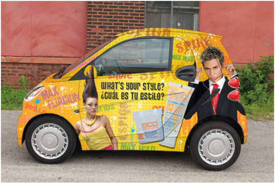 EcoStyler Smartcar Wrap
