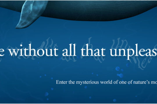 Museum Event Billboard